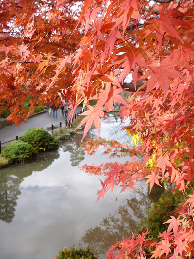 清水寺 2015年秋 紅葉の様子
