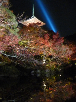 清水寺　夜間特別拝観の幻想的な景色